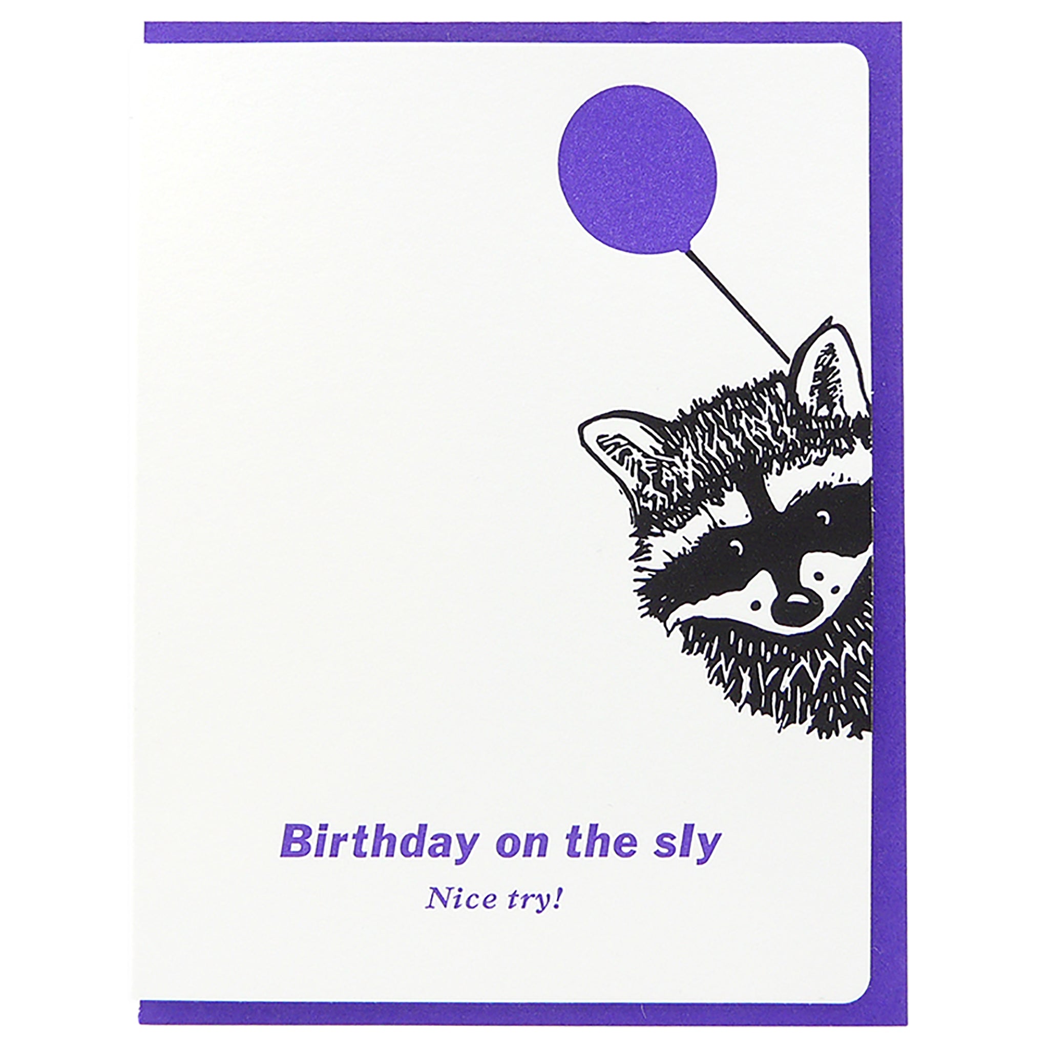 Birthday Raccoon On The Sly