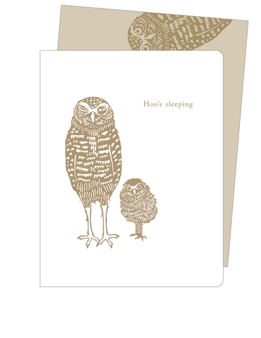 Burrowing Owl Sleeping w/s