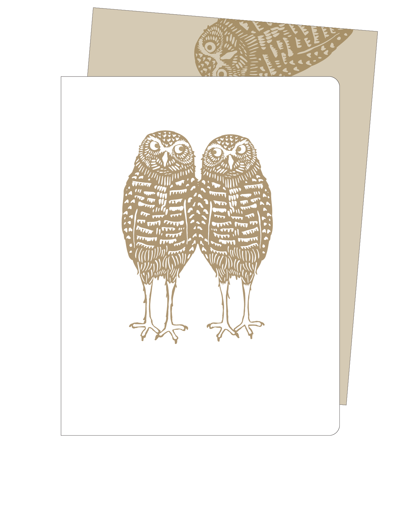 Burrowing Owl Pair w/s