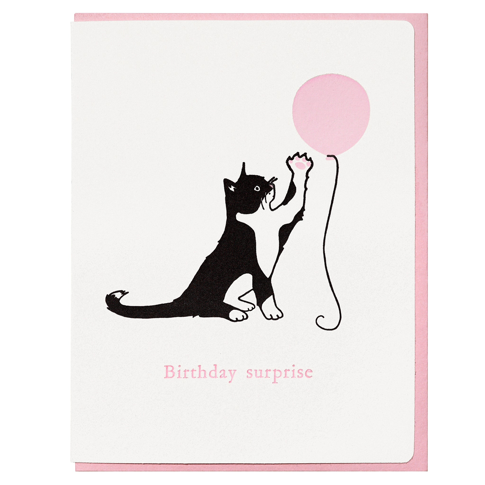 Cat Birthday Surprise