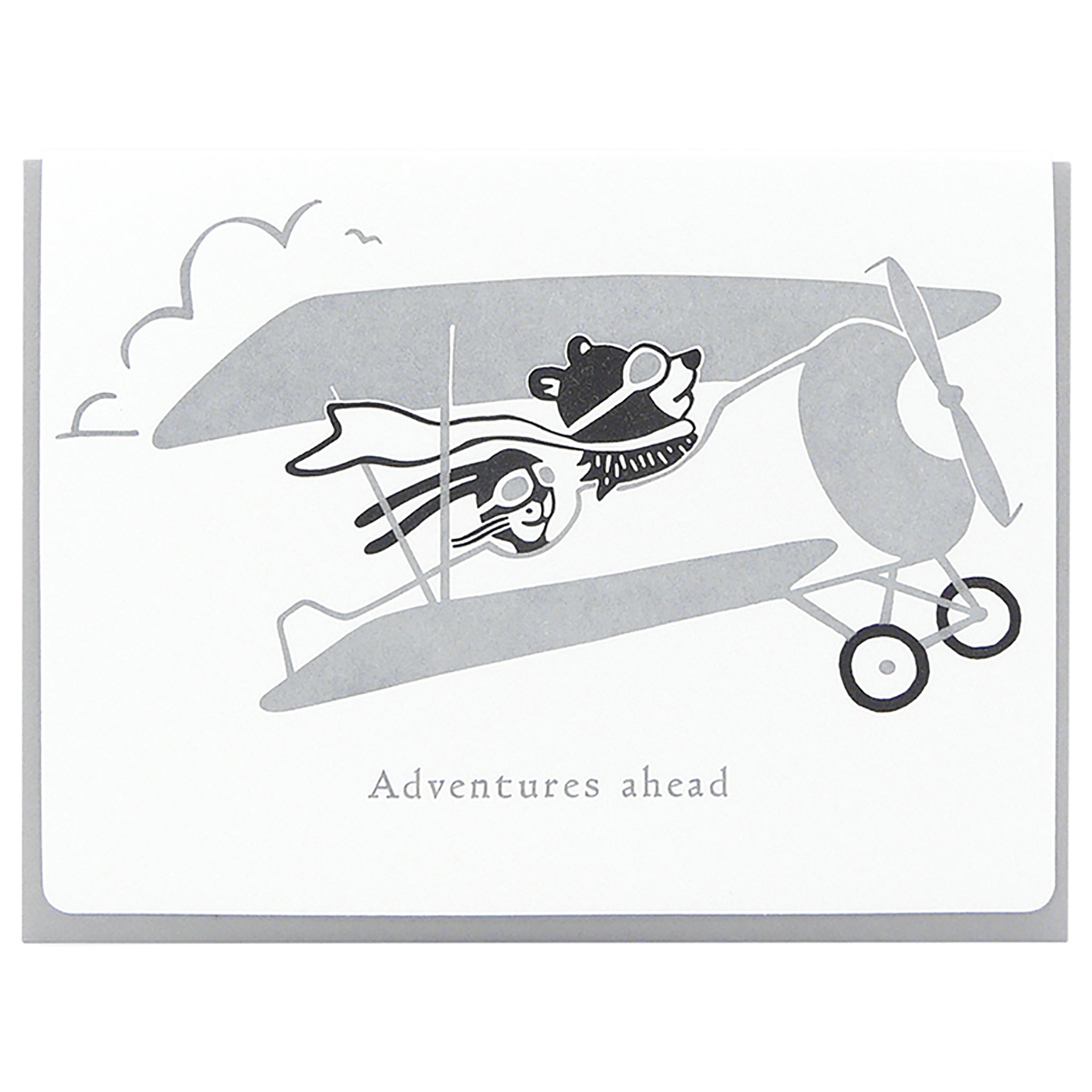 Adventures ahead aviators  w/s