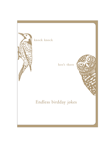 Burrowing Owl Knock Knock